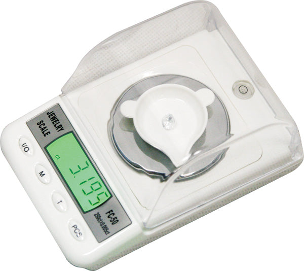 Touch Screen Scale